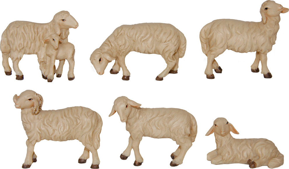 Set van 6 schapen (voor fig. van H 7-9cm)