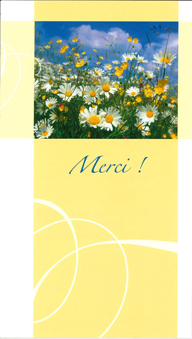 Gebedskaart Merci, pâquerettes de joie - SP023
