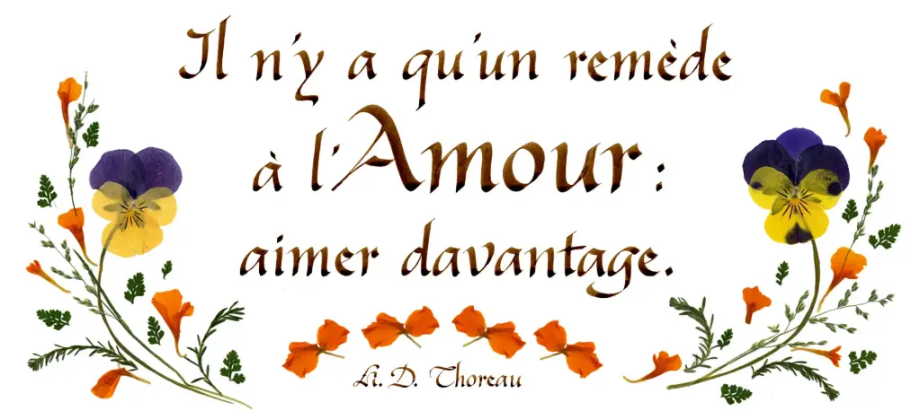 Kaart serie 'Citations - L'Amour' - 'Il n'y a qu'un remède...' - 10,5x21cm + envel.