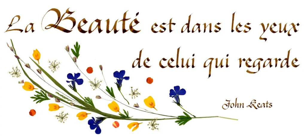 Kaart serie 'Citations - La Beauté' - 'La beauté est dans...' - 10,5x21cm + envel.