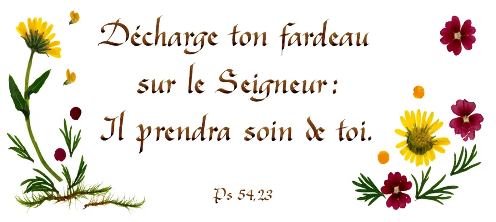 Kaart serie 'Citations - Psaumes' - 'Décharge ton fardeau...' - 10,5x21cm + envel.