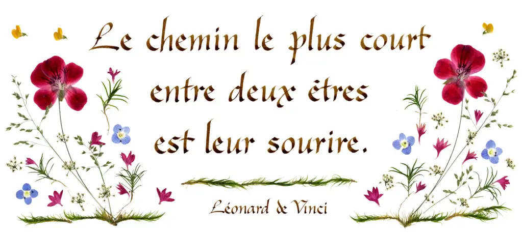 Kaart serie 'Citations - L'Amour' - 'Le chemin le plus court...' - 10,5x21cm + envel.