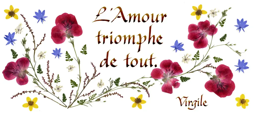 Kaart serie 'Citations - L'Amour' - 'L'Amour triomphe de tout' - 10,5x21cm + envel.
