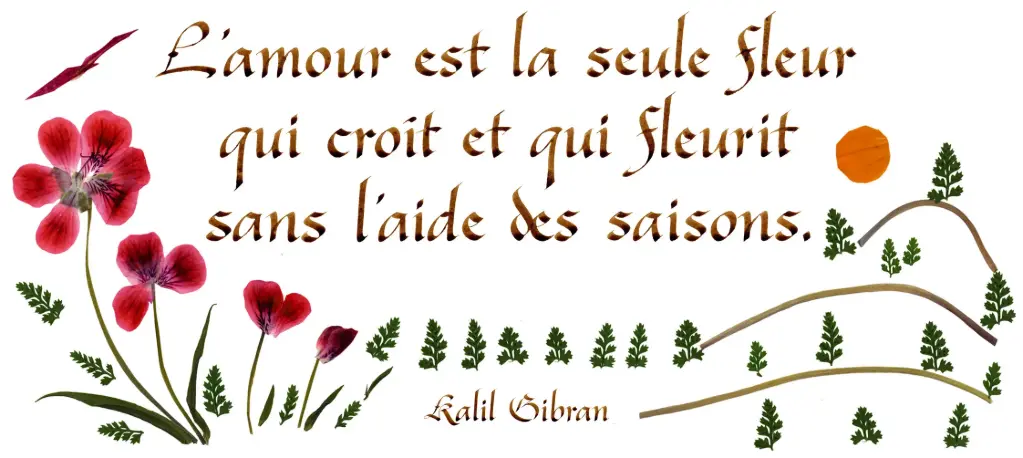 Carte série 'Citations - L'Amour' - 'L'Amour est la seule fleur ...' - 10,5x21cm + envel.