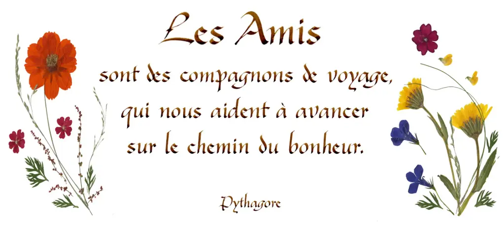 Kaart serie 'Citations - L'Amitié' - 'Les Amis sont des compagnons...' - 10,5x21cm + envel.