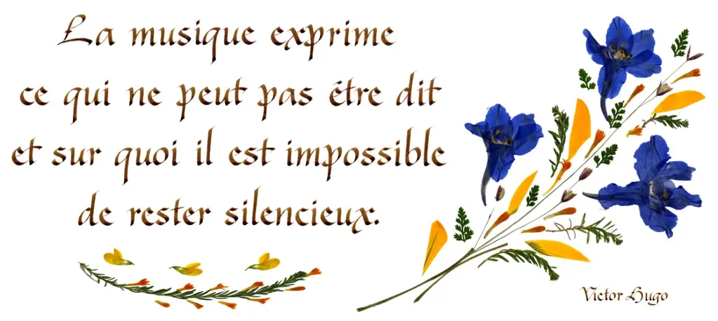 Kaart serie 'Citations - Le Bonheur' - 'La musique exprime...' - 10,5x21cm + envel.