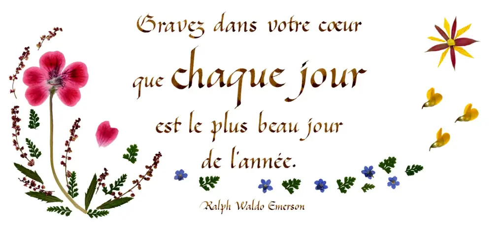Carte série 'Citations - La Beauté' - 'Bravez dans votre coeur...' - 10,5x21cm + envel.