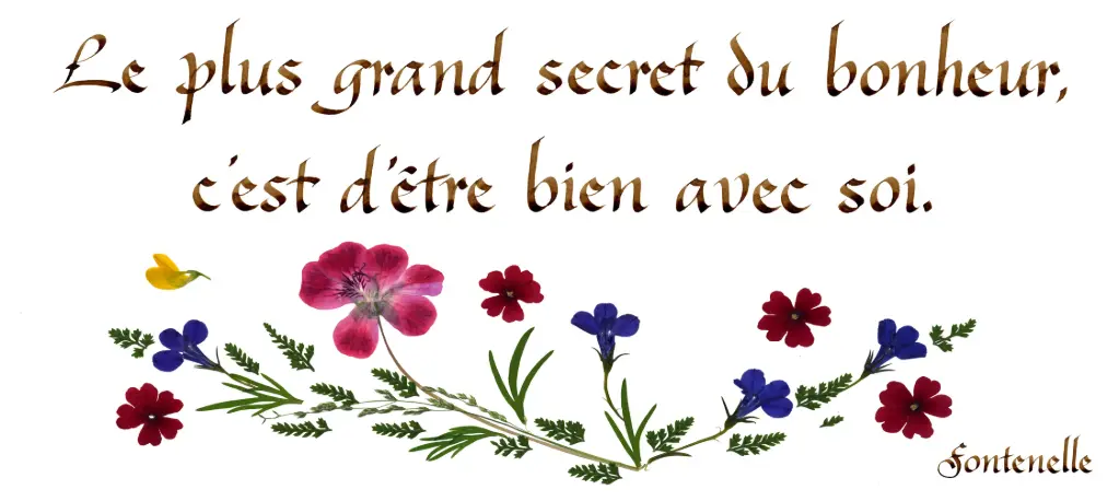Carte série 'Citations - La Vie' - 'Le plus grand secret du bonheur...' - 10,5x21cm + envel.