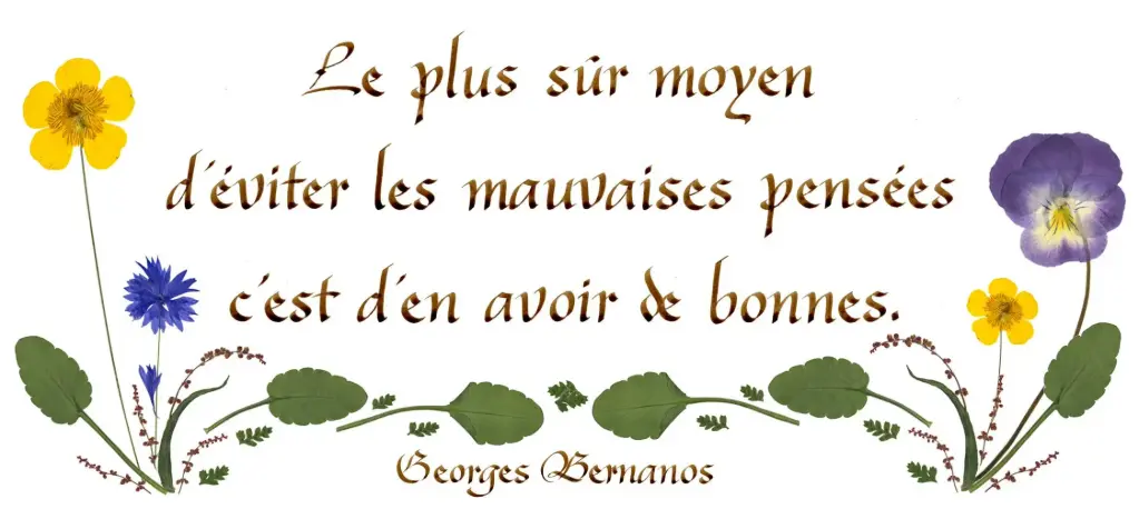 Kaart serie 'Citations - Sagesse' - 'Le plus sûr moyen d'éviter...' - 10,5x21cm + envel.