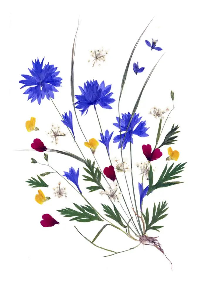 Dubbelkaart serie 'Fleurs séchées' - model 002 - 10x15cm + envel.