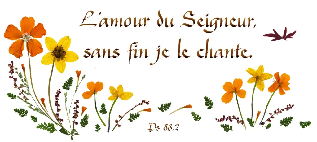 Carte série 'Citations - Psaumes' - 'L'Amour du Seigneur,...' - 10,5x21cm + envel.