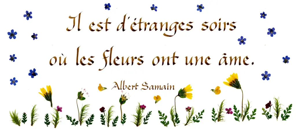 Kaart serie 'Citations - Divers' - 'Il est d'étranges soirs...' - 10,5x21cm + envel.