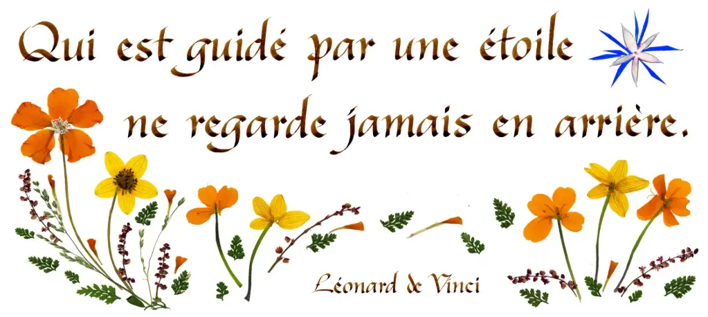 Carte série 'Citations - Divers' - 'Qui est guidé par...' - 10,5x21cm + envel.