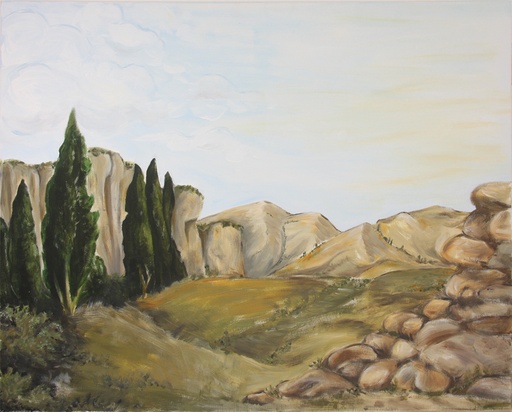 [ACC-47Z706] Cypress Background - 70x100