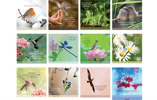 [CAL-31PP001] Calendrier perpetuel 13,4x15,4cm - Psaumes