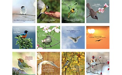 [CAL-31PP003] Calendrier perpetuel 13,4x15,4cm - Trace la vie