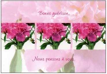 [CRT-21CD004] Wenskaart Bonne guérison. Nous...