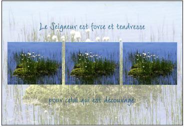 [CRT-21CD010] Wenskaart Le Seigneur est force...