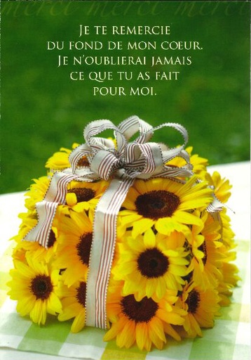 [CRT-21CS144] Carte simple - 10x15cm - Je te remercie...