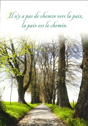 [CRT-21CS156] Kaart - 10x15cm - Il n'y a pas de chemin...
