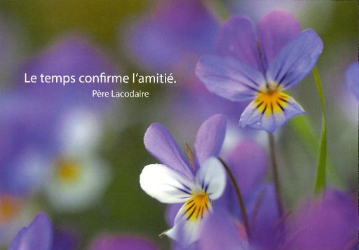 [CRT-21CS205] Kaart - 10x15cm - Le temps confirme...