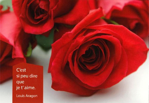 [CRT-21CS206] Kaart - 10x15cm - C'est si peu dire...