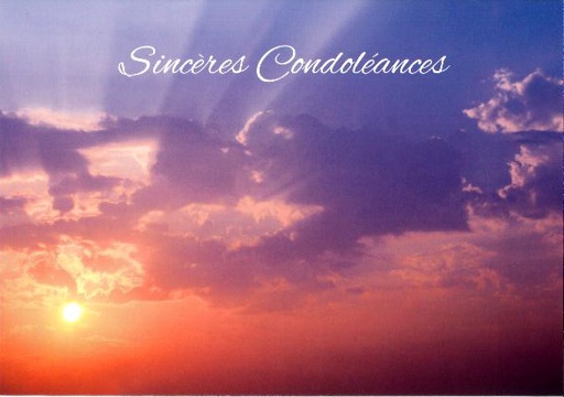 [CRT-21CS228] Kaart - 10x15cm - Sincères Condoléances