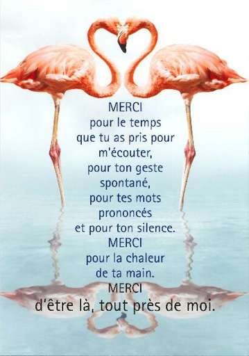 [CRT-21CS240] Kaart - 10x15cm - Merci pour le temps que tu as...