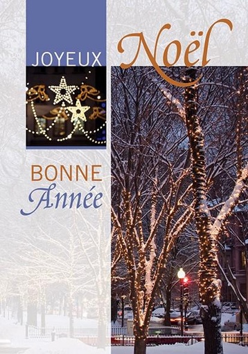 [CRT-21NS016] Kerstkaart 10x15cm - Joyeux Noël/Bonne Année