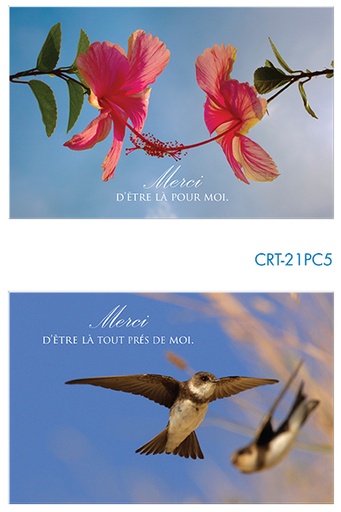 [CRT-21PC5] Pochette Merci - 2x3 kaarten met omslag