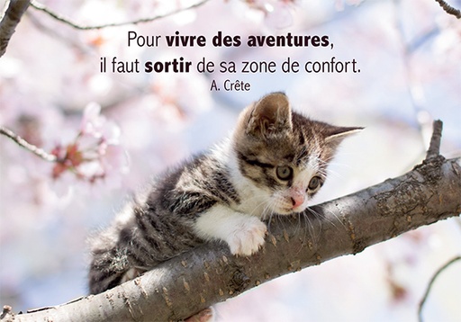 [CRT-31CS014] Kaart 10,5x15cm - Pour vivre des aventures