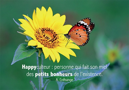 [CRT-31CS020] Kaart 10,5x15cm - Happyculteur:...