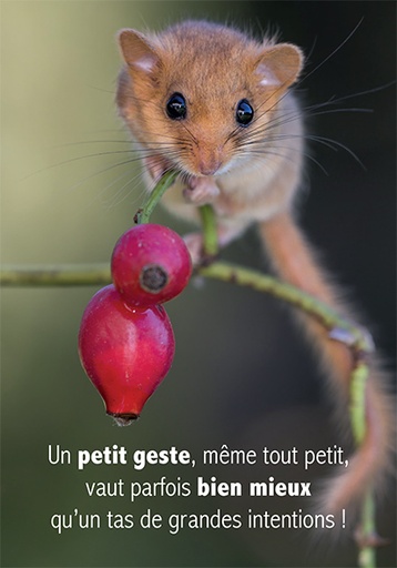 [CRT-31CS023] Kaart 10,5x15cm - Un petit geste, mˆme tout