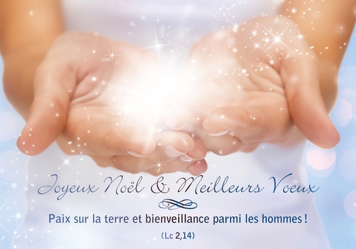 [CRT-31NS013] Kerstkaart 10,5x15cm - Joyeux Noël et Meilleures..