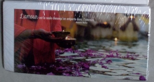 [CRT-31PN003] Kaart panor. 10,5x21cm + enveloppe - L'amour est la seule