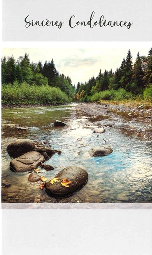 [CRT-50CON188] Carte double Sincères Condoléances - 9,5x16cm - envelop/cell
