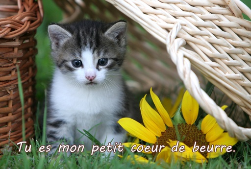 [CRT-50CS004] Postkarte 10x15cm - Motiv UK-91604 Text 7