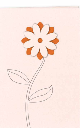 [GIR-82CDDESCV35] CARTES DOUBLES DESSINS FLEUR ORANGE