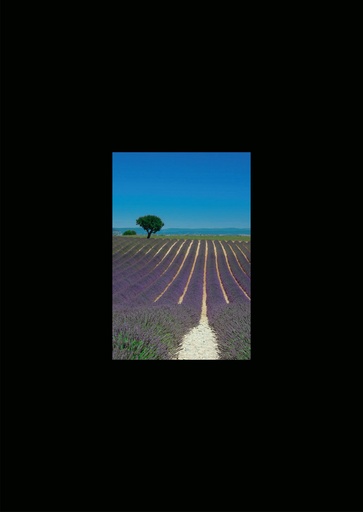 [GIR-82CSIP 02] CARTES SIMPLES LES PETITS CADRES PROVENCAUX