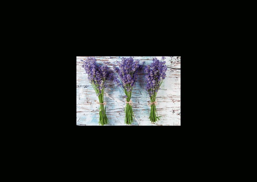 [GIR-82CSIP 31] CARTES SIMPLES LES PETITS CADRES PROVENCAUX