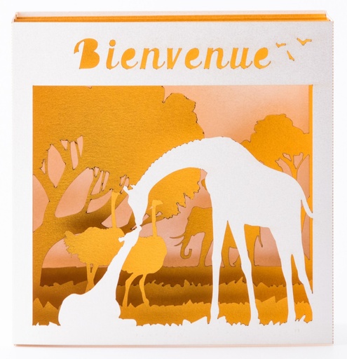 [GIR-82POPC16] GIRAFE