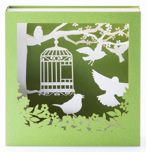 [GIR-82POPC32] CAGE OISEAU