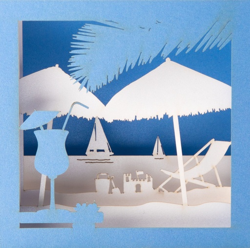 [GIR-82POPC54] PLAGE