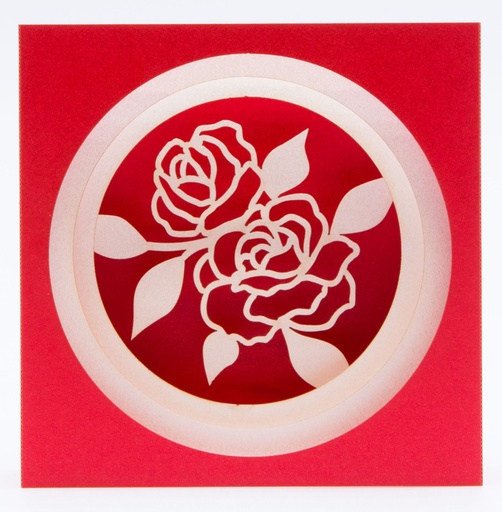 [GIR-82POPC59] ROSE