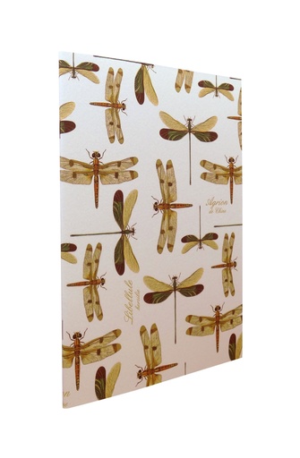 [GIR-82RO NBA 101] CAHIER SOUPLE 15*21 CM