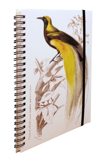[GIR-82RO NBC 011] CAHIER SOUPLE SPIRALE 15*21 CM