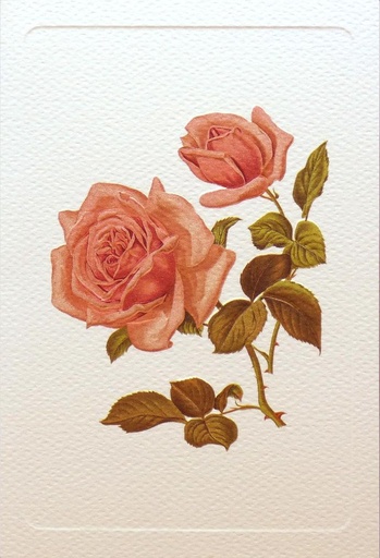 [GIR-82ROAGR050B] CARTE DOUBLE 12*17 CM