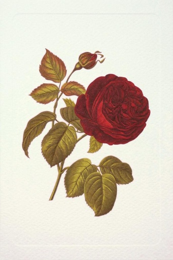 [GIR-82ROAGR050C] CARTE DOUBLE 12*17 CM