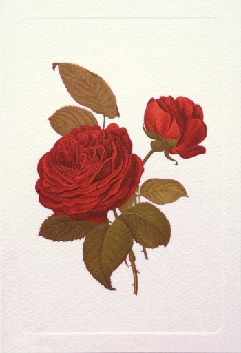 [GIR-82ROAGR050D] CARTE DOUBLE 12*17 CM