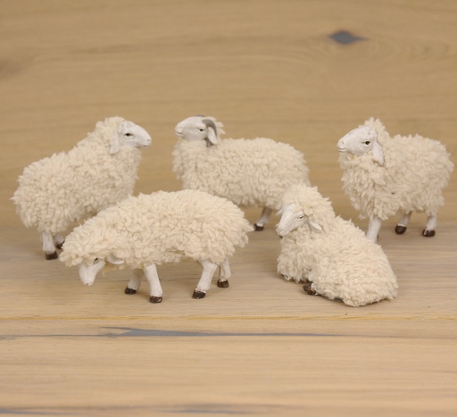 [KGR-47SCH097K] Set van 5 schapen met wol (voor fig.. tot H 9cm)